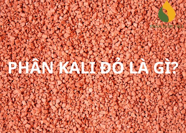 Phân Kali đỏ