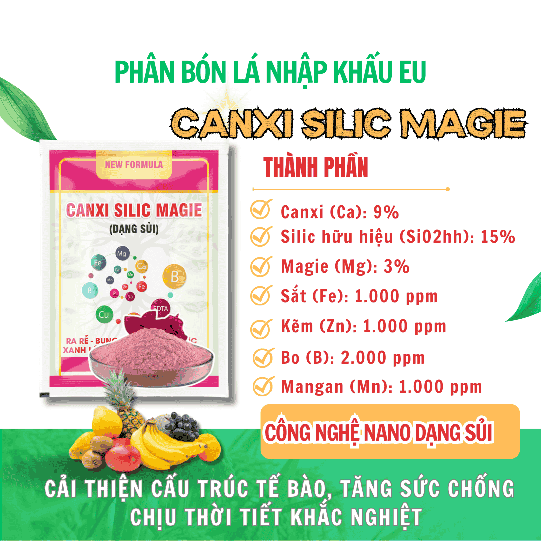 CANXI SILIC MAGIE – ĐỘT PHÁ CÔNG NGHỆ DẠNG SỦI, GIẢI PHÁP TỐI ƯU CHO CÂY TRỒNG!