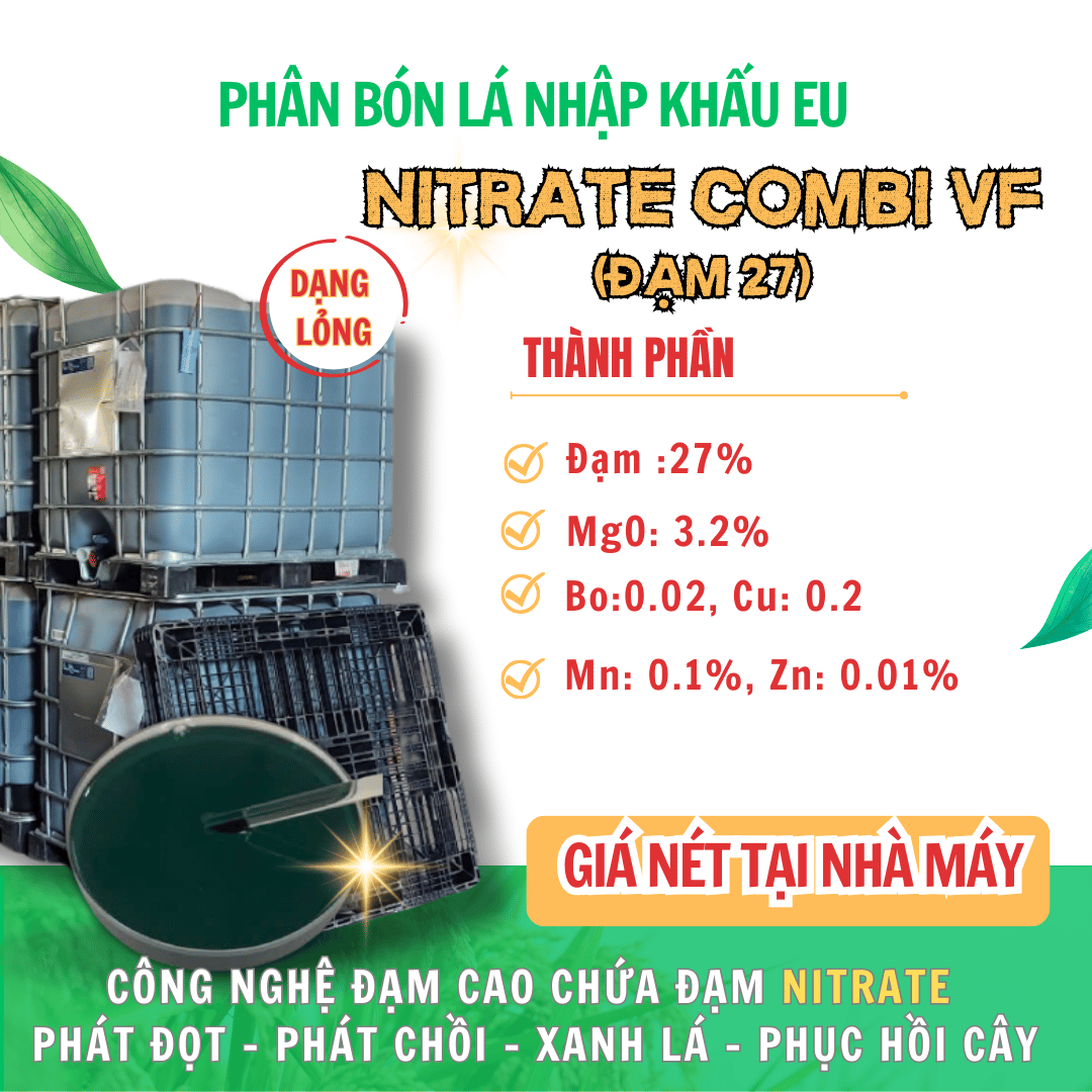 nitrat combi vf